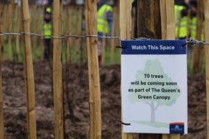 A sign pinned to a wooden fence reading '70 trees will be coming soon as part of The Queen's Green Canopy'